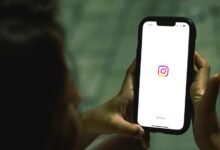 gocryptobet s rising popularity