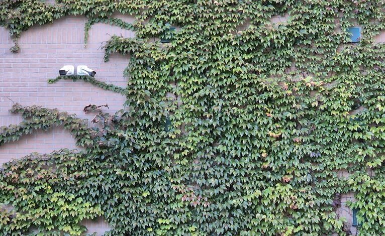 operational security evaluation taskforce