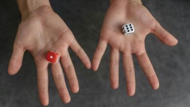 opportunity highlights on numbers